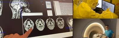 量子生体計測学分野