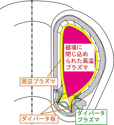 研究の最前線から